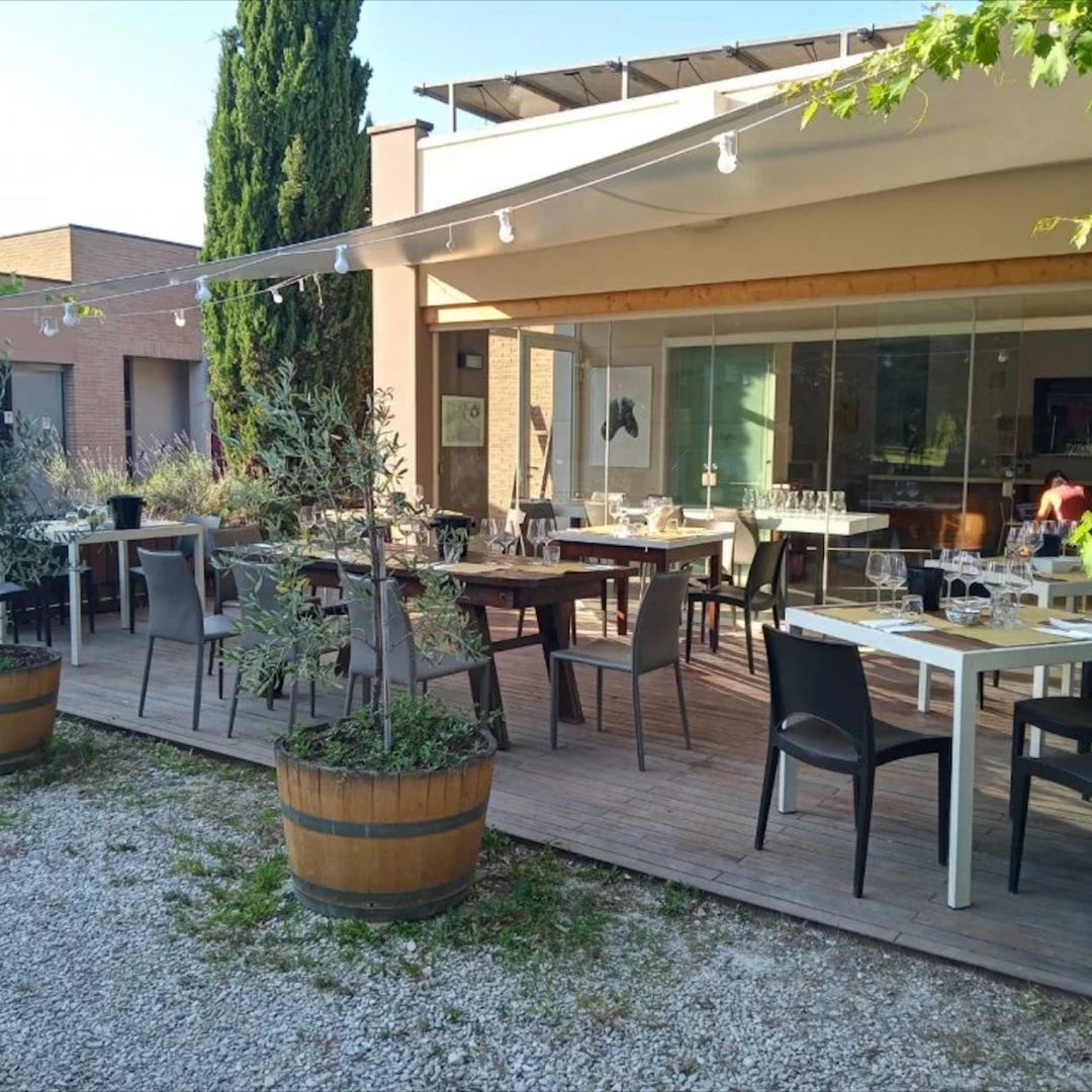 Tour in cantina con degustazione di vino e cibo nei pressi di Riccione e Rimini