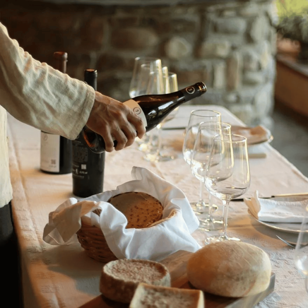 Boutique Winery Tour & Tasting in North Tuscany