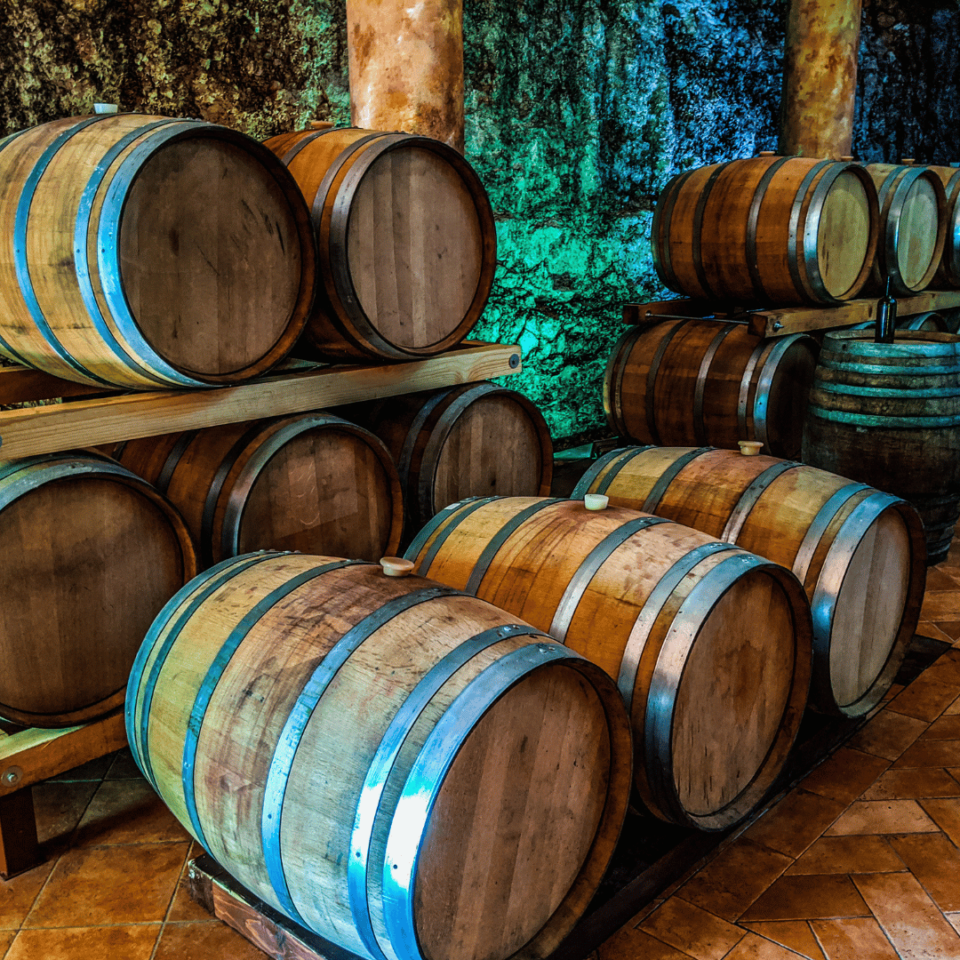 Vineyard Walk & Wine Tasting in the Berici Hills of Vicenza