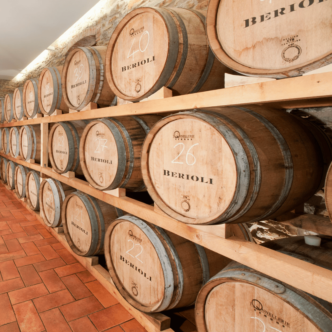 Perugia Winery Visit & Tasting near the Lake Trasimeno
