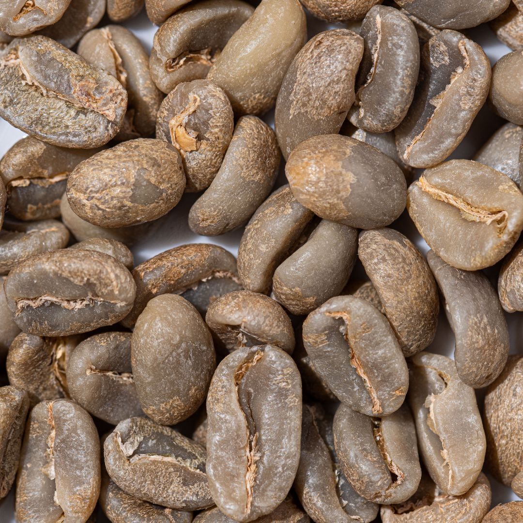 Specialty Coffee Workshop & Tasting Experience in Rome