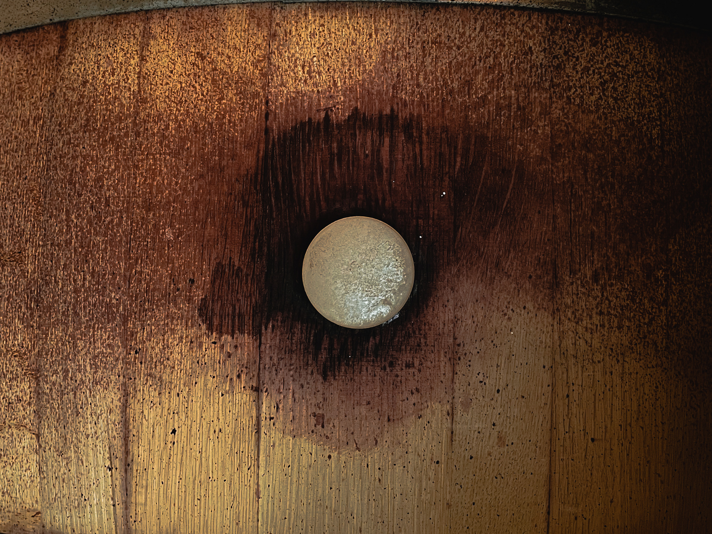 Organic Winery Visit & Wine Tasting with Food in Pavia