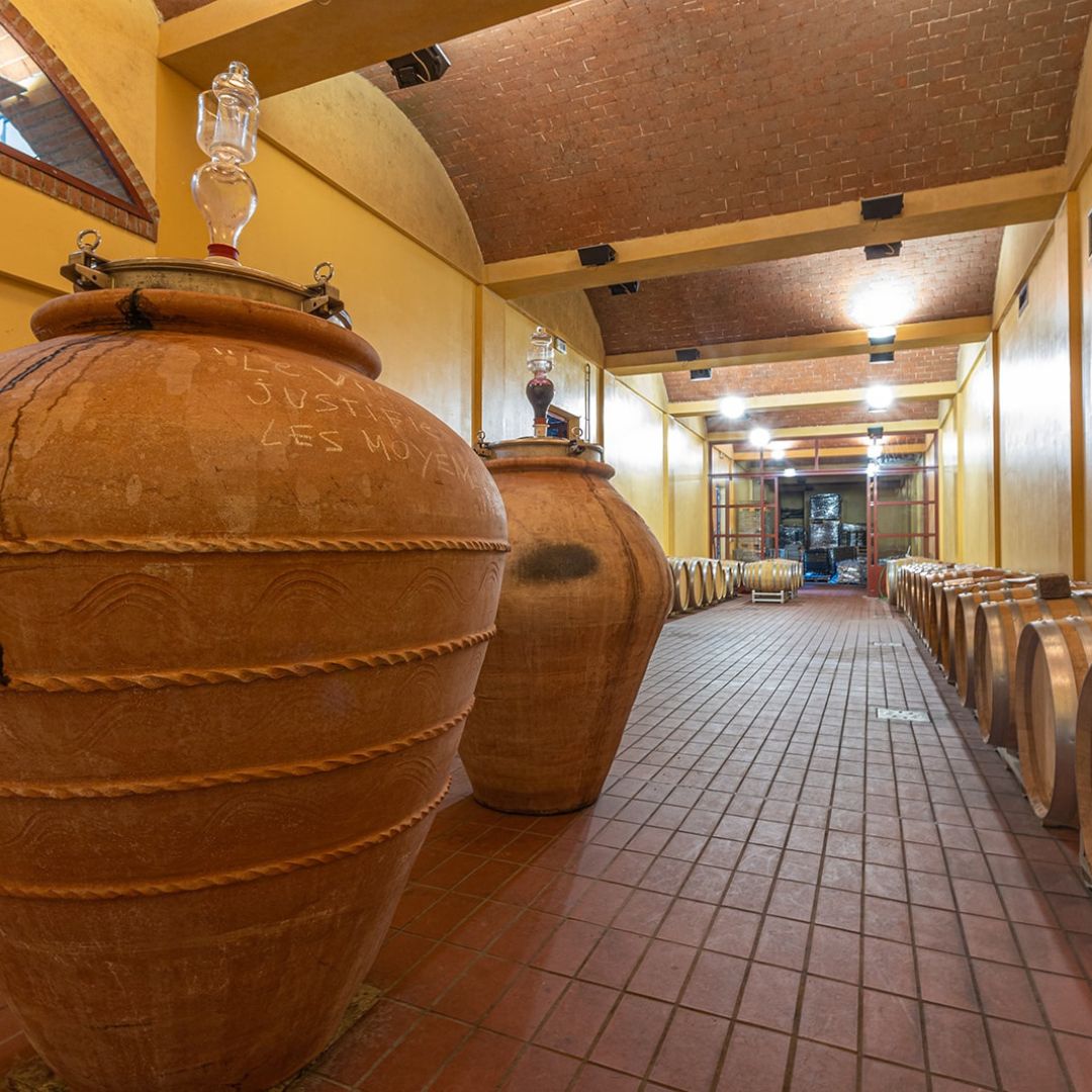 Tour della Cantina e Degustazione di Vini con Cibo vicino a Livorno e Pisa