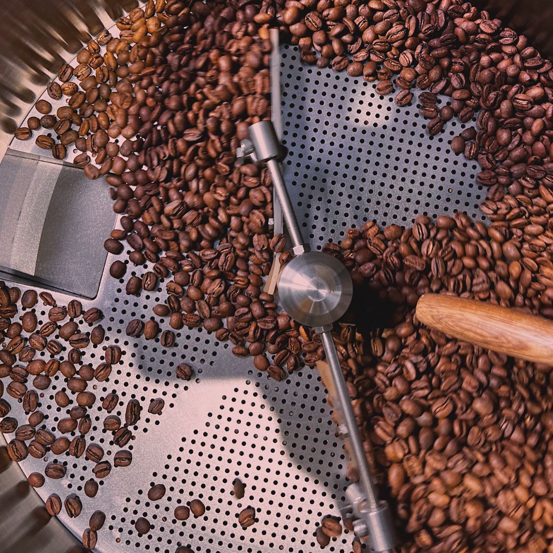 Das Spezialitätenkaffee-Rösterei-Verkostungserlebnis in Turin