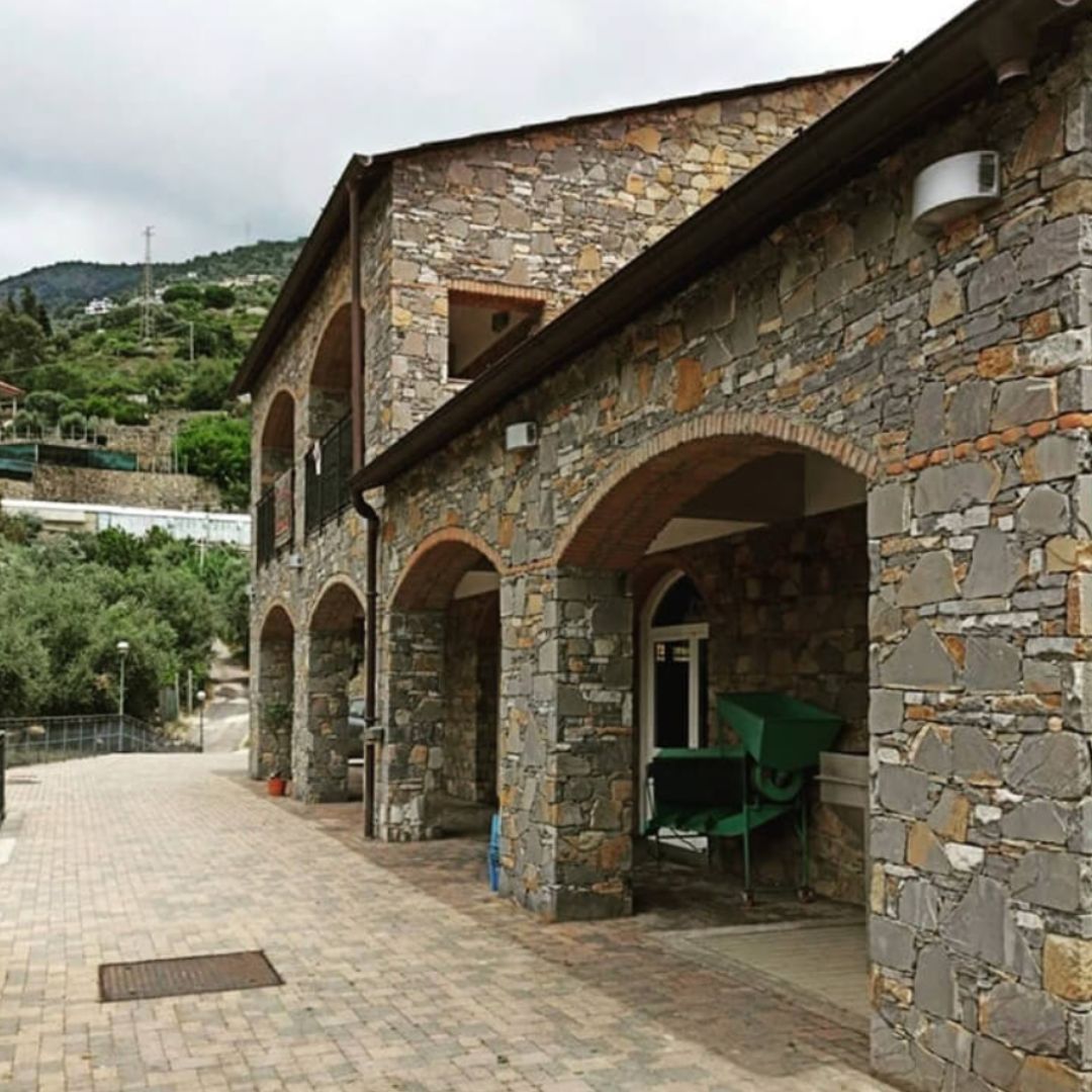 Olive Mill Visit & Guided Tasting in Taggia