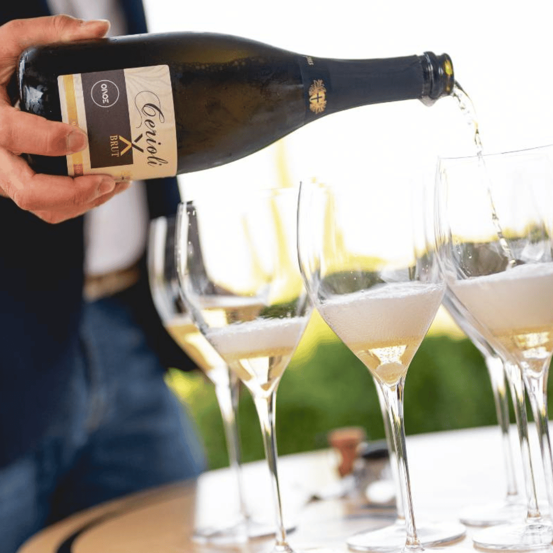Visita alla Cantina sulle Colline di Parma e Degustazione di Vini con Piatto di Cibo