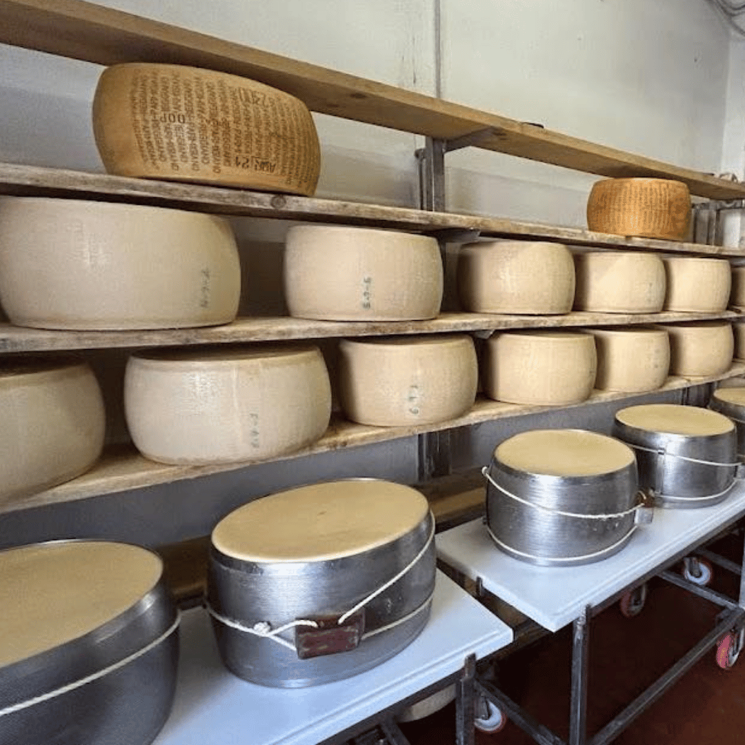 Parmesan Wheels near Parma: Tasting & Factory Tour