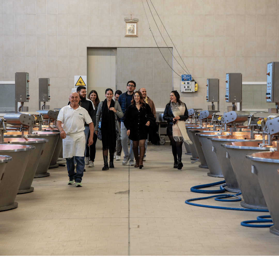 Fabbrica di Parmigiano Reggiano vicino a Modena: Degustazione e Tour