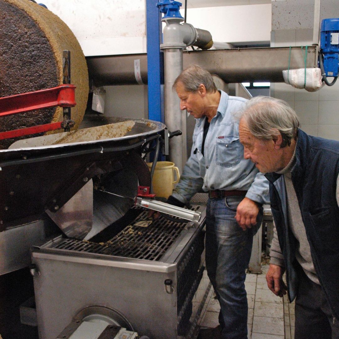 Degustazione di olio d'oliva con passeggiata facoltativa in uliveto sul Lago di Como