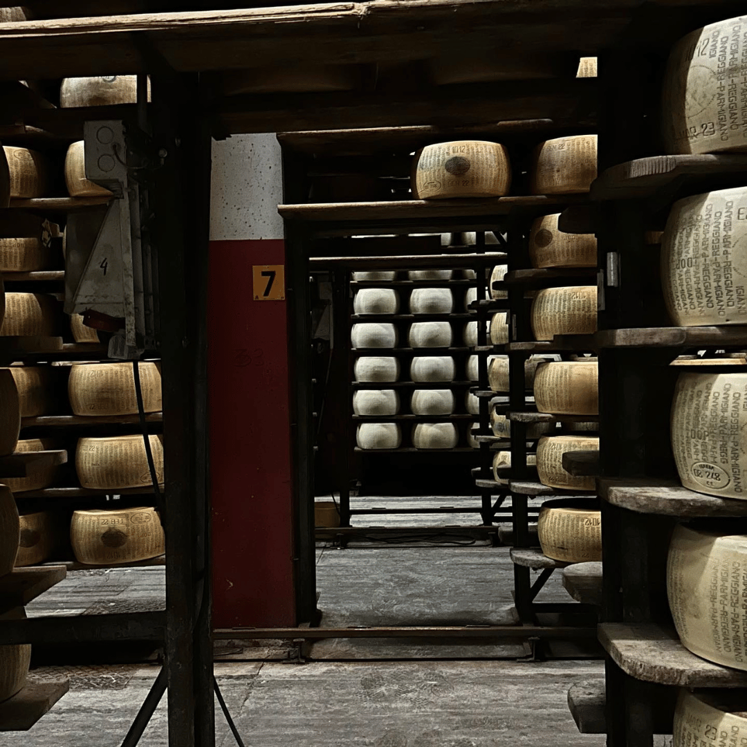 Parmesan Cheese Tour & Tasting near Modena