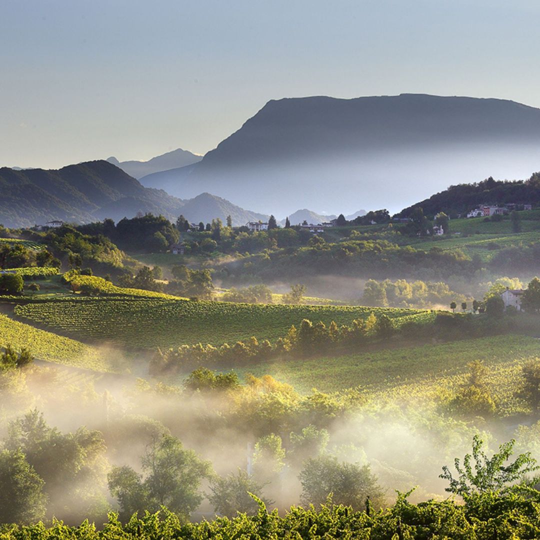Degustazione di Prosecco in una cantina con abbinamento di cibo vicino a Venezia