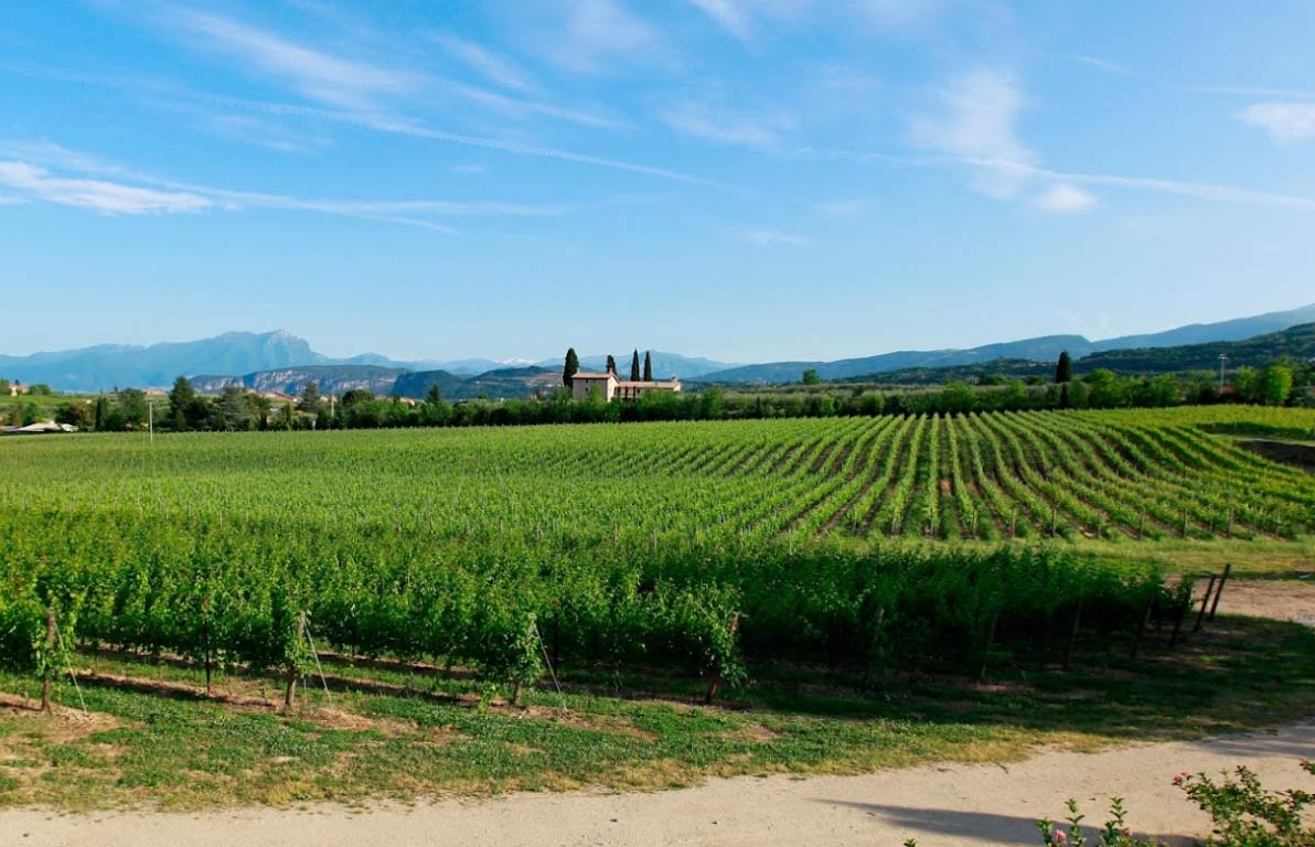 Esperienza del Vino Bardolino