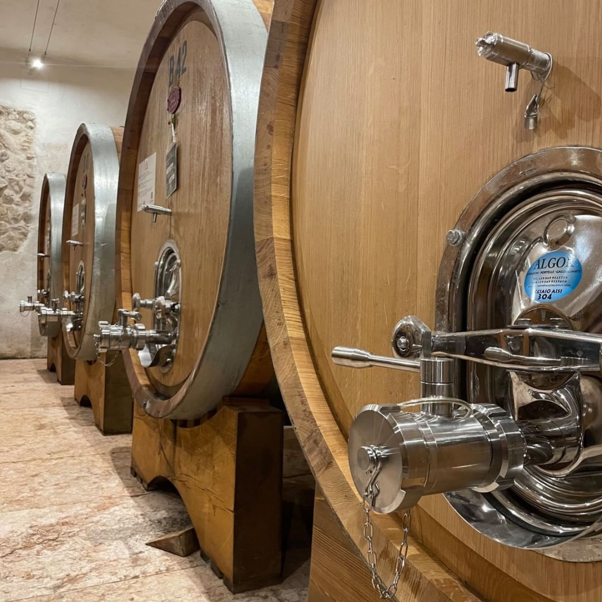 Boutique Winery Tour & Tasting in Valpolicella