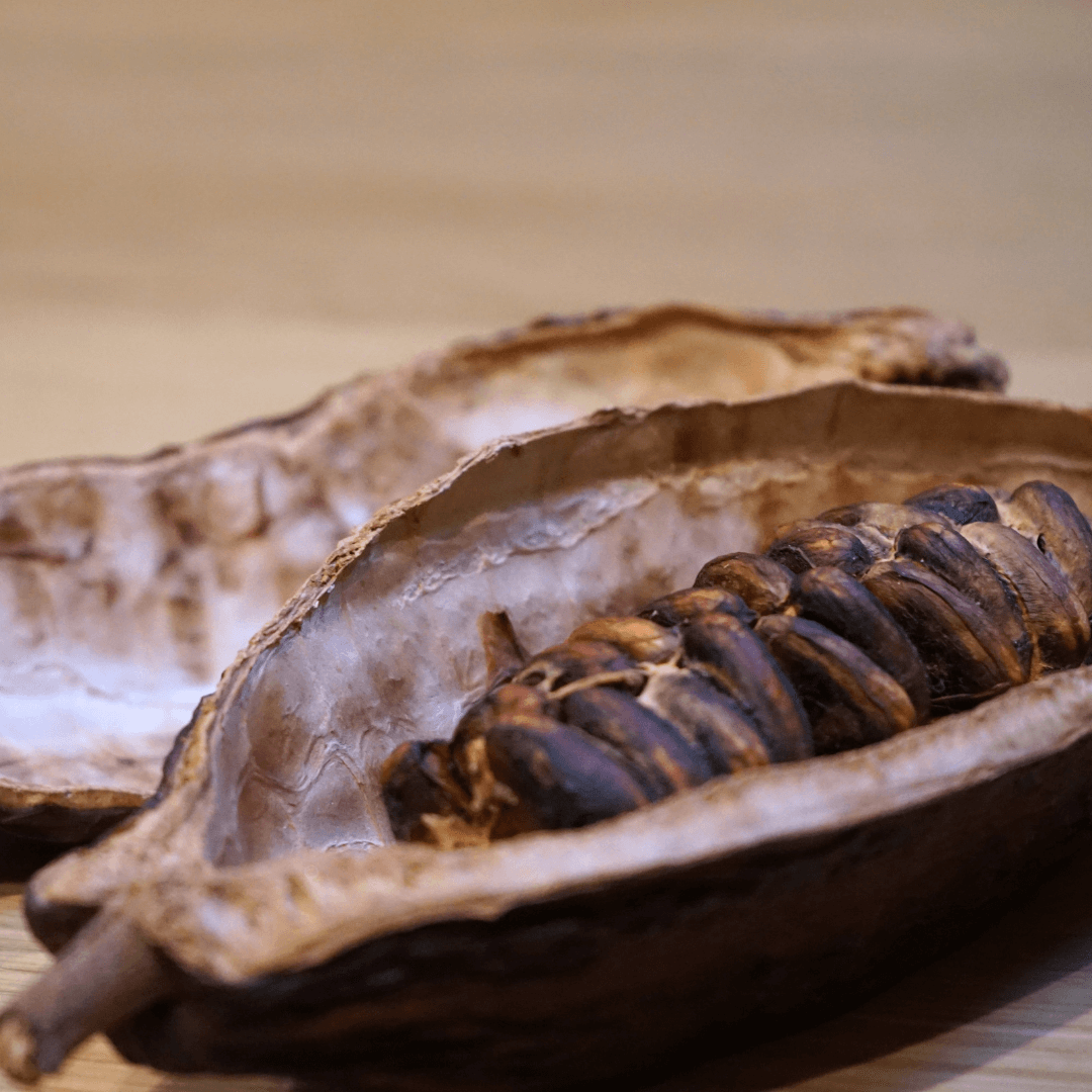 The Turin Chocolate & Wine Tasting Experience