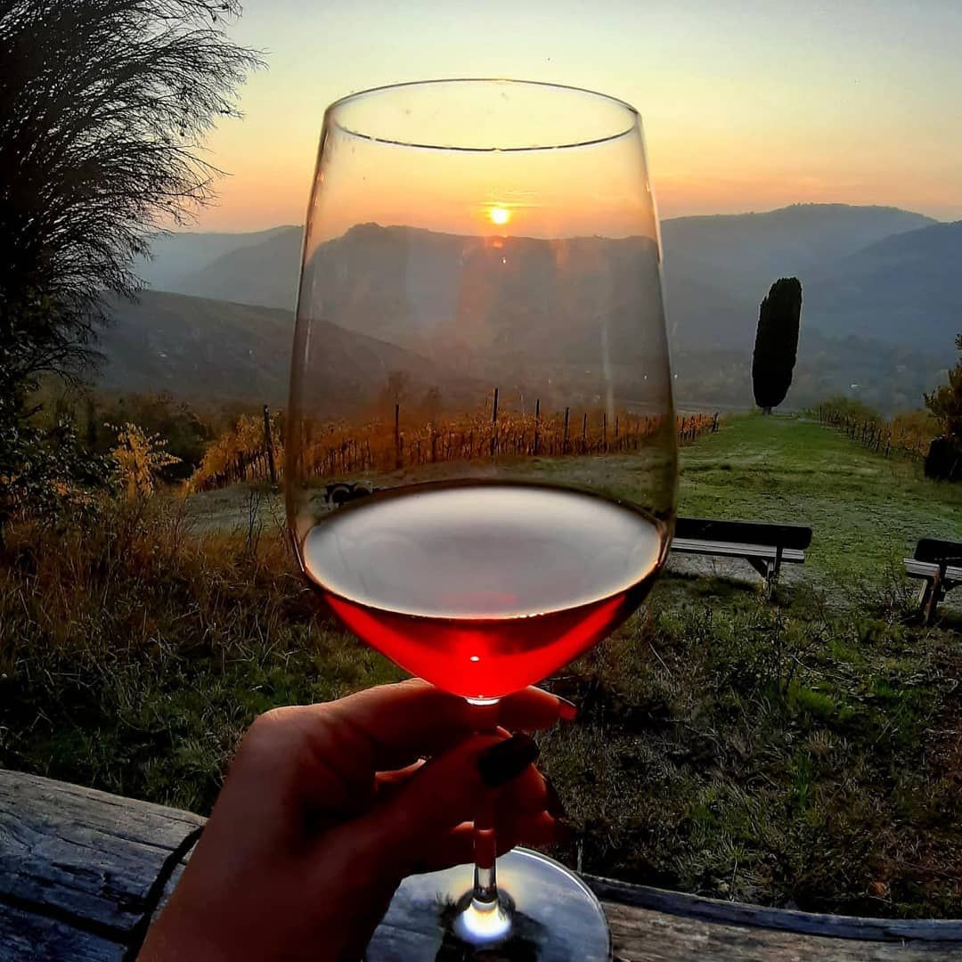 Organic Winery Visit with Wine & Food Tasting near Bologna