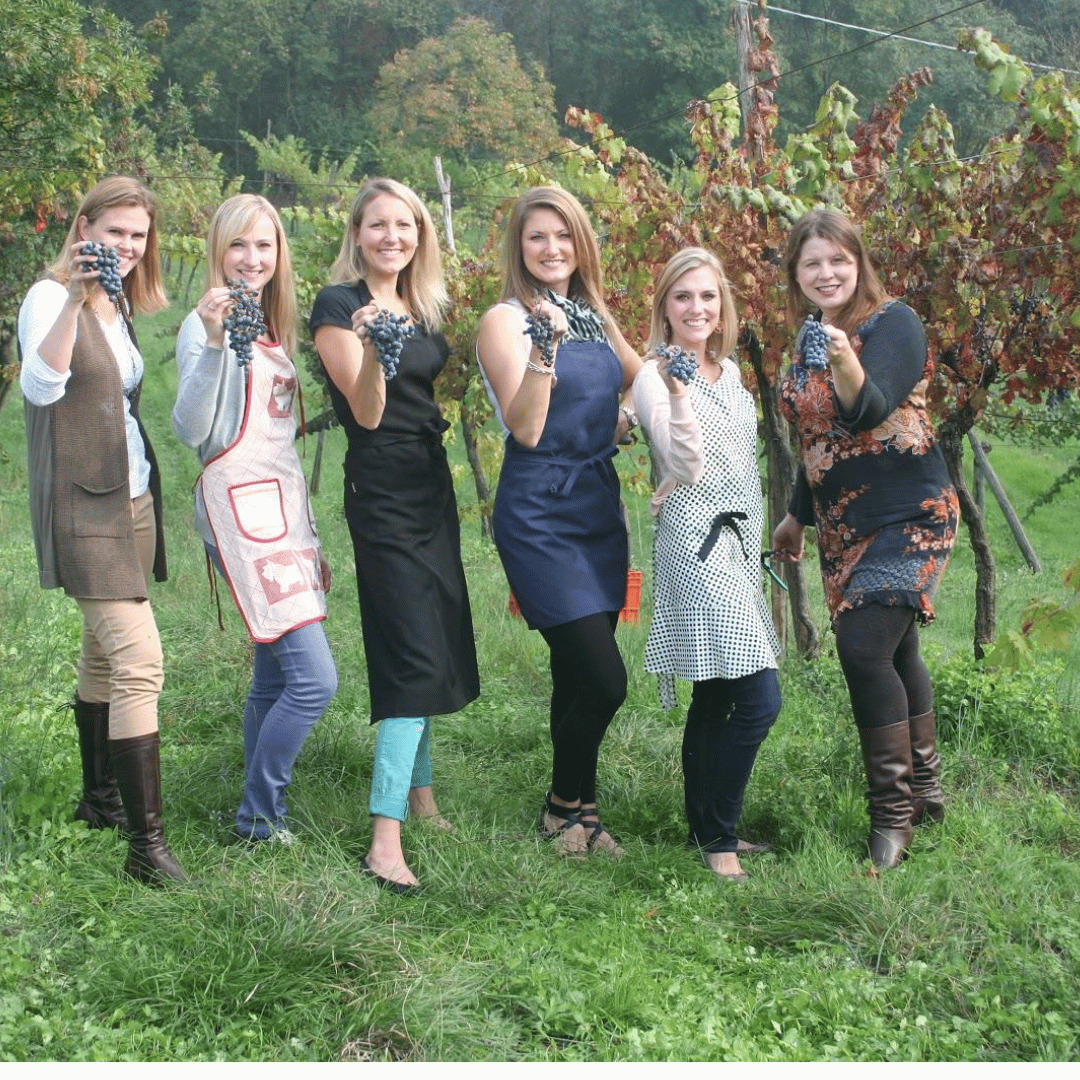 Vineyard Walk & Wine Tasting in the Berici Hills of Vicenza
