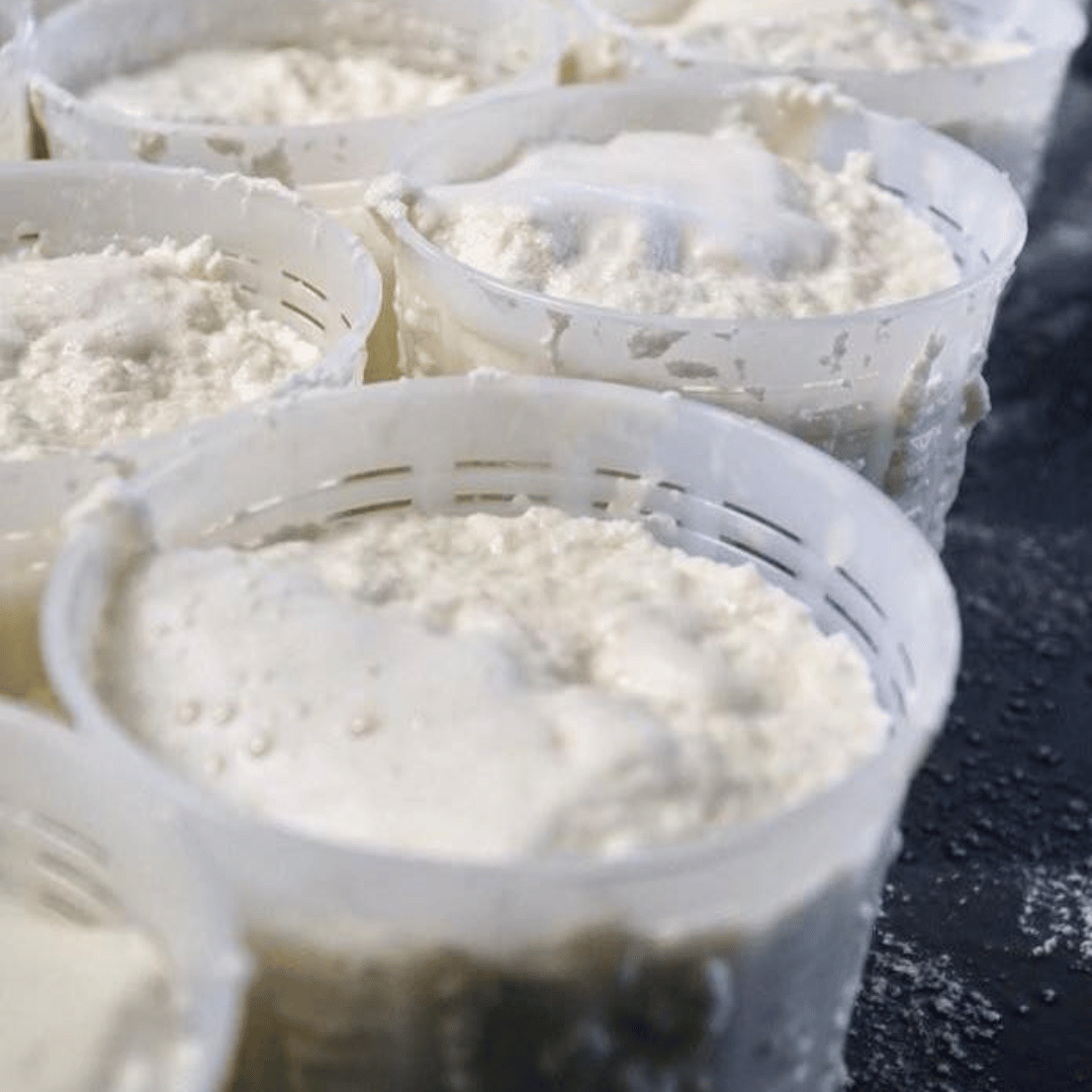 Parmesan Wheels near Parma: Tasting & Factory Tour