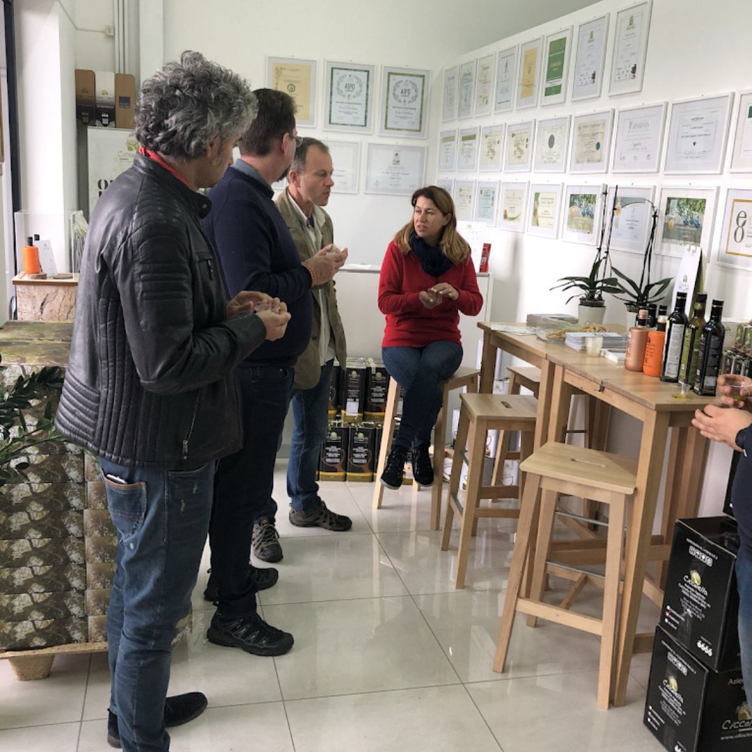 Olive Oil Mill Tour with Tasting near Bari