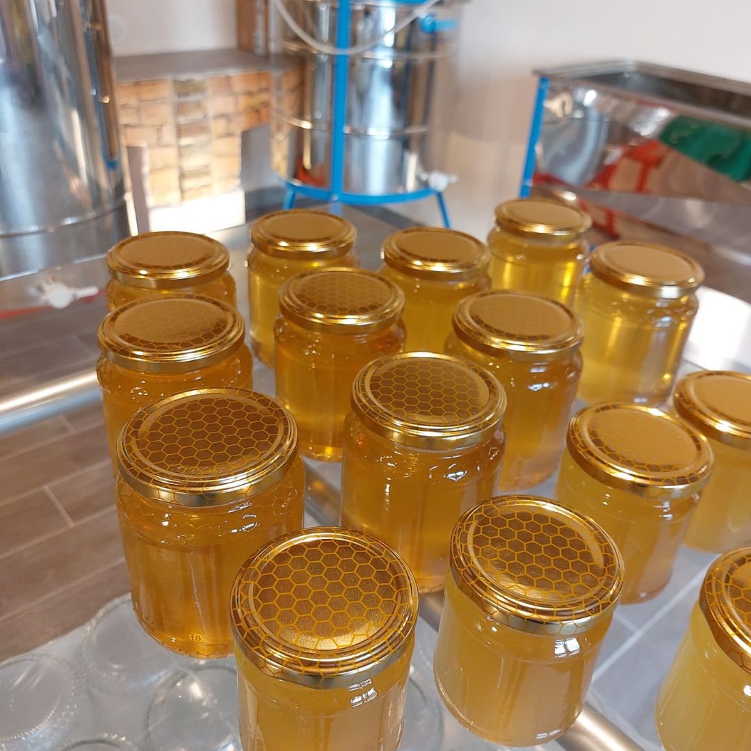 Tour di Apicoltura e Degustazione di Miele nel Monferrato