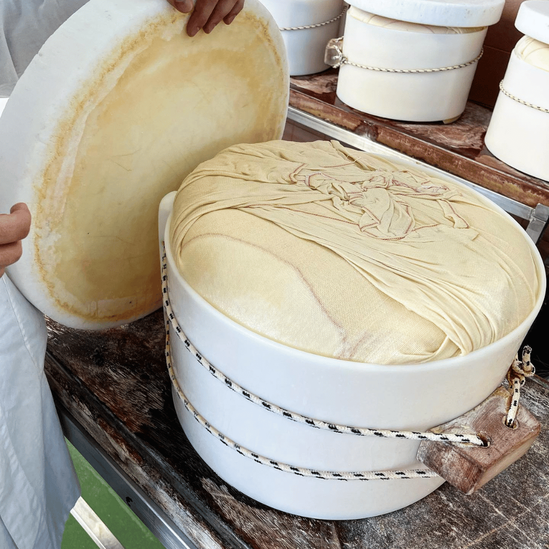 Parmesan Cheese Tour & Tasting near Modena