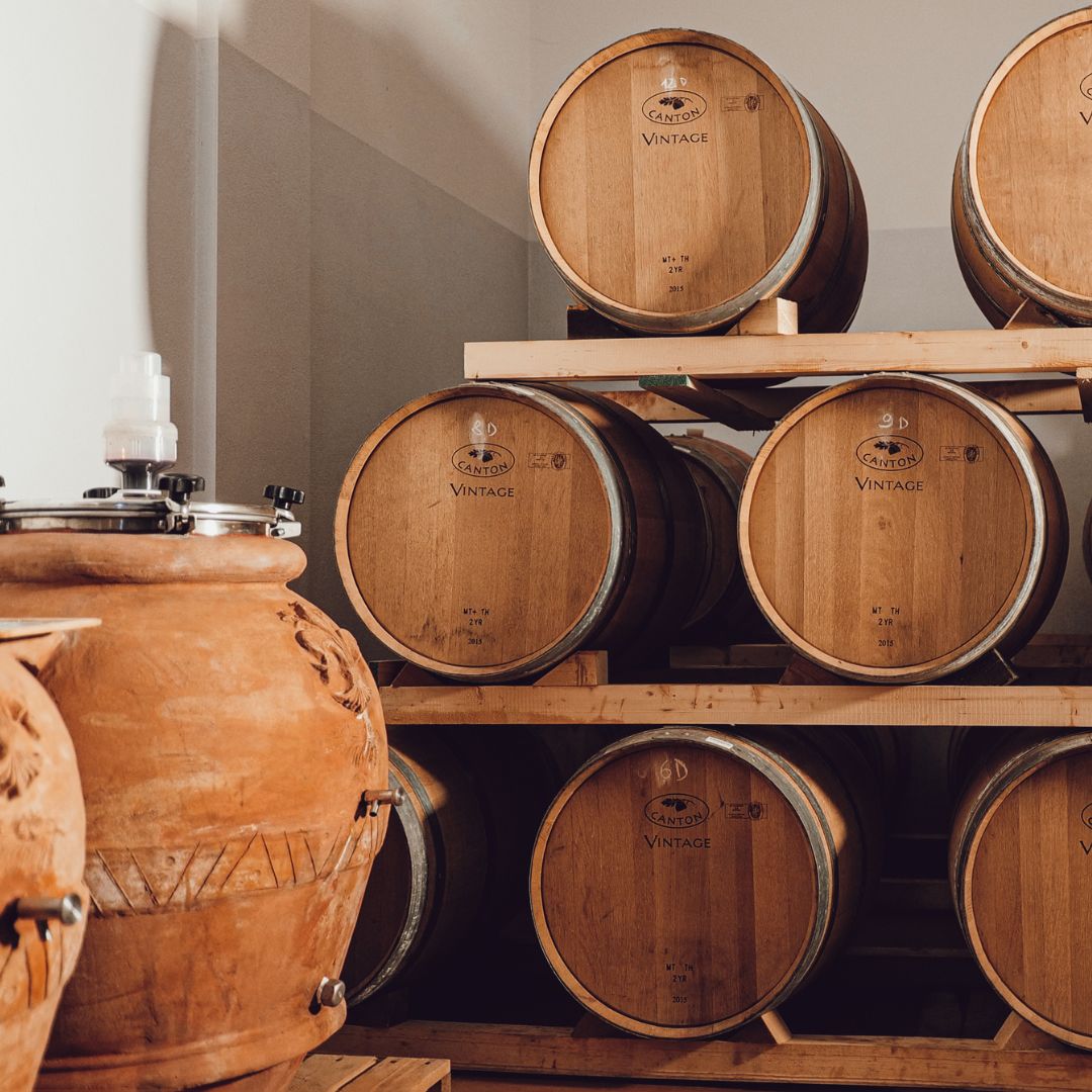 Chianti Winery Tour with Wine & Food Tasting near Florence