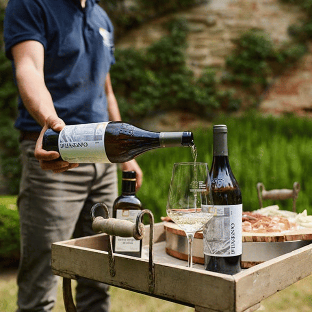 Boutique Winery Visit & 5 Organic Wine Tastings near Urbino