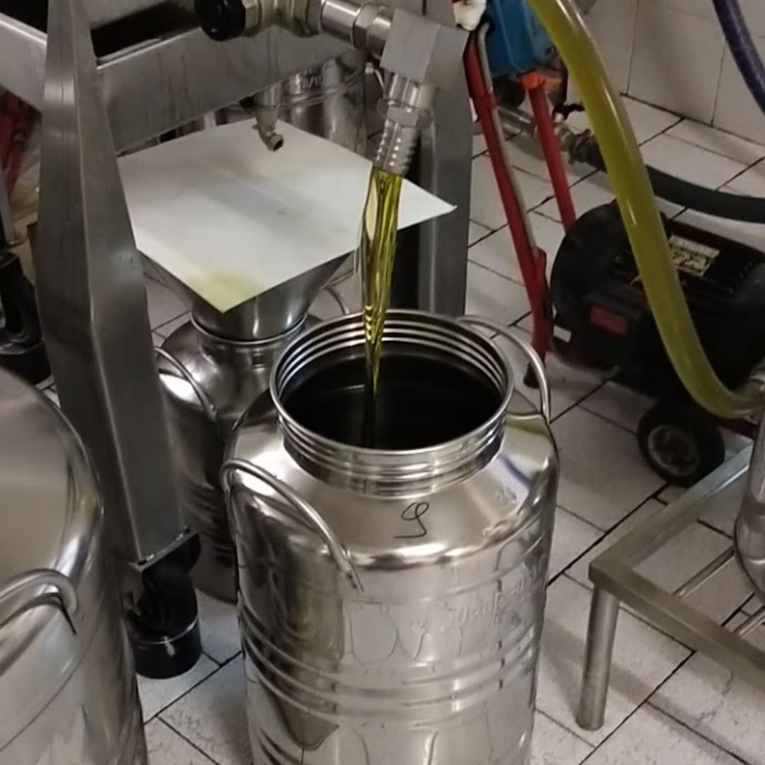 Degustazione di olio d'oliva con passeggiata facoltativa in uliveto sul Lago di Como