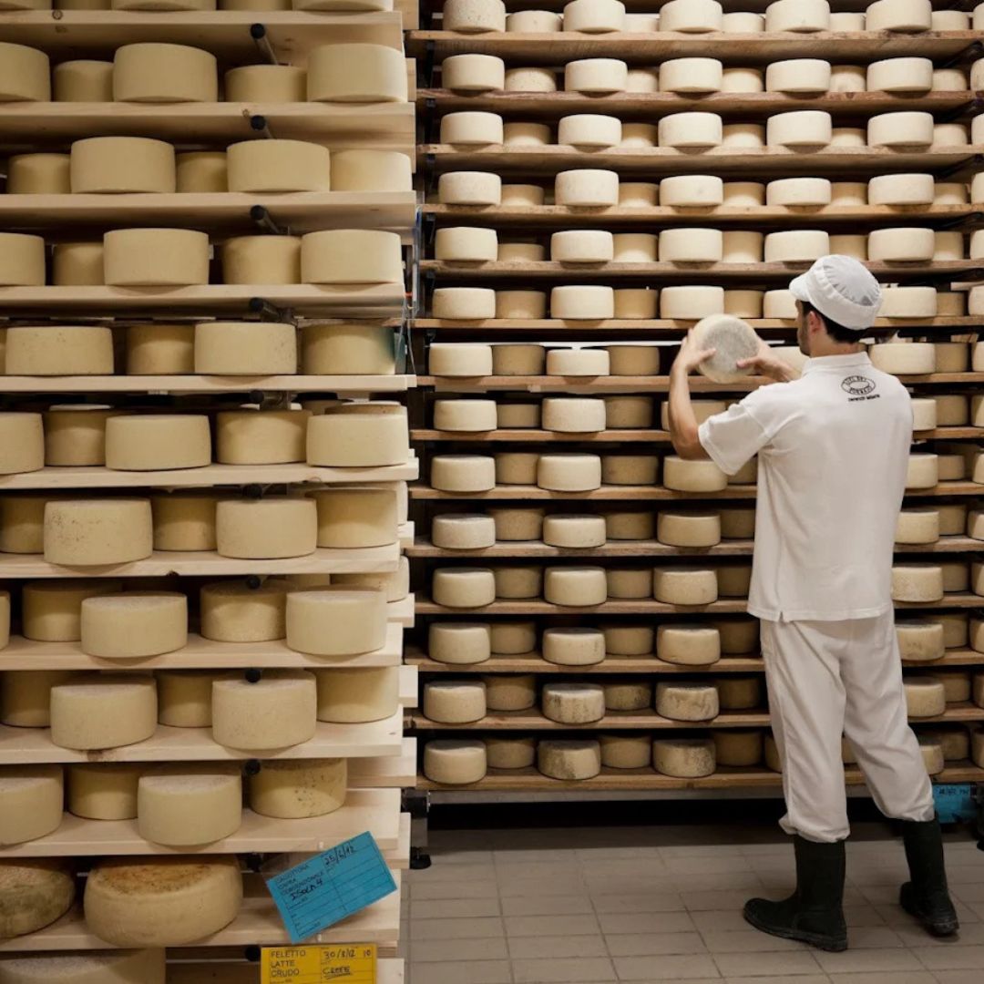 Dairy Tour with Cheese Tasting & Prosecco near Treviso