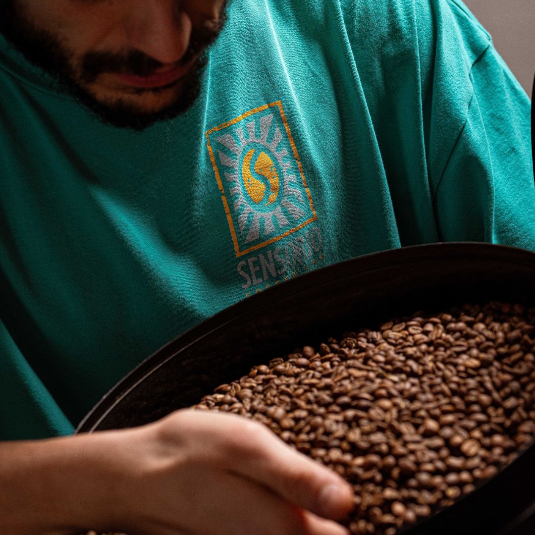 Specialty Coffee Workshop & Tasting Experience in Rome