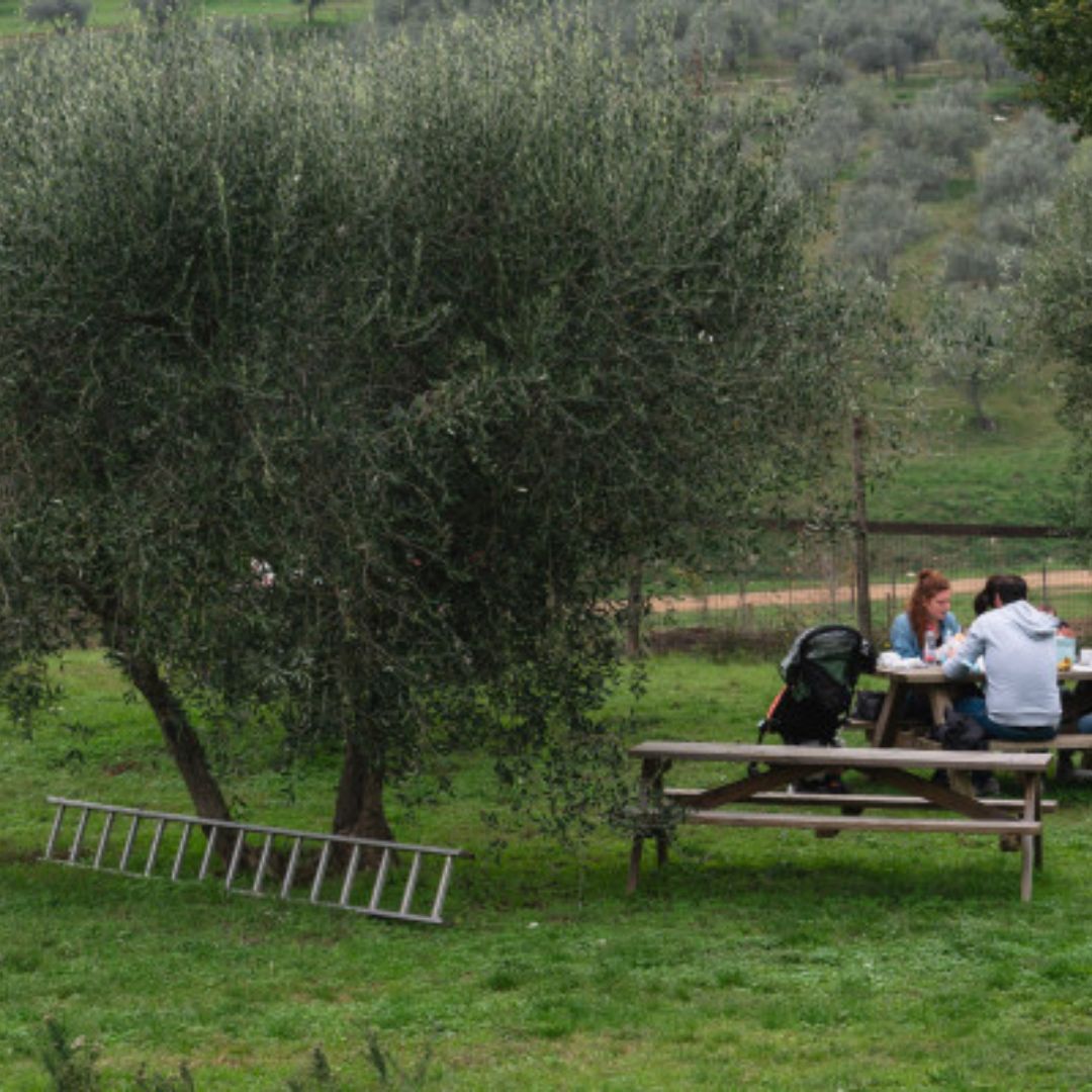 Naturpark und Picknick-Erlebnis in der Nähe von Florenz