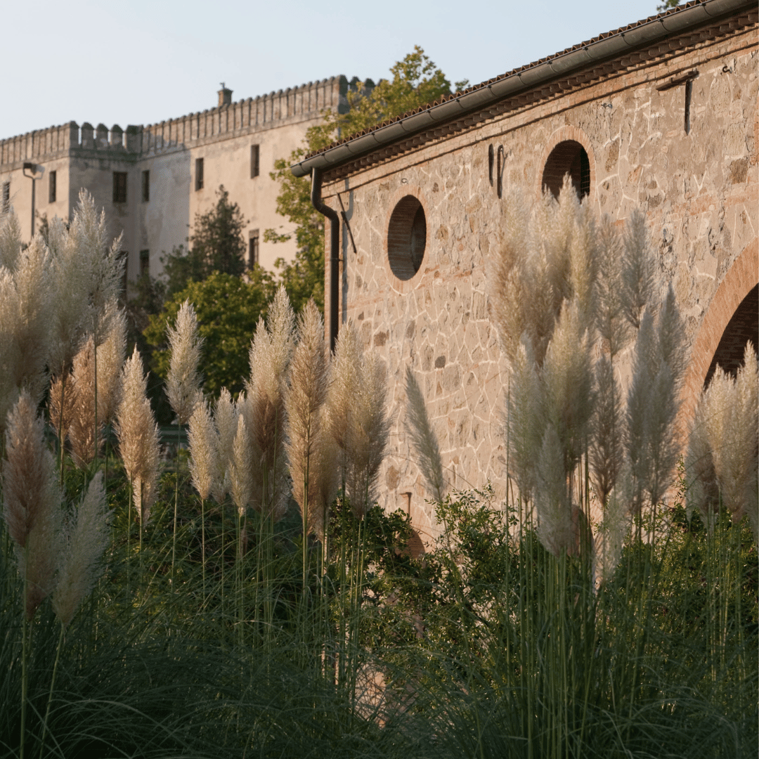 Weinprobe und Tour in den Hügeln von Padua