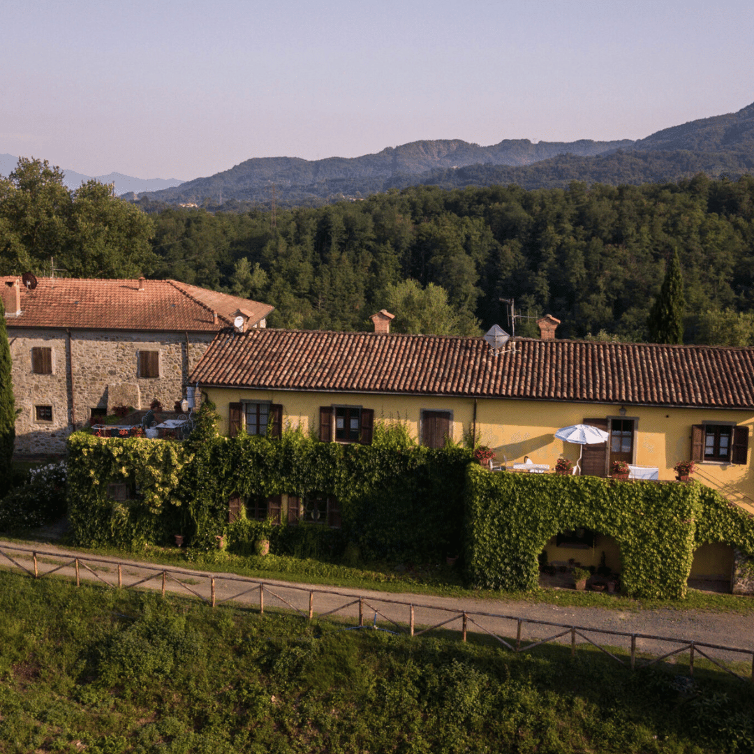 Boutique Winery Tour & Tasting in North Tuscany