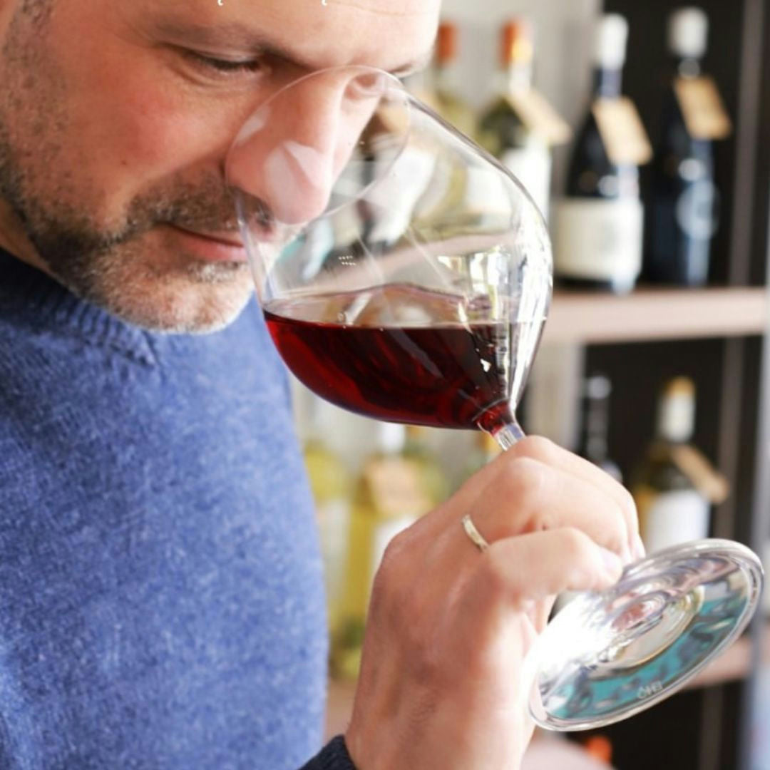 Wine Tasting with Local Food Pairings guided by Sommeliers 6 Cagliari