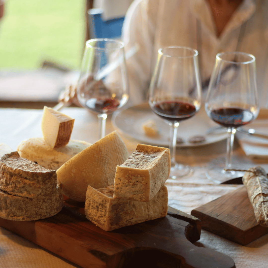Boutique Winery Tour & Tasting in North Tuscany