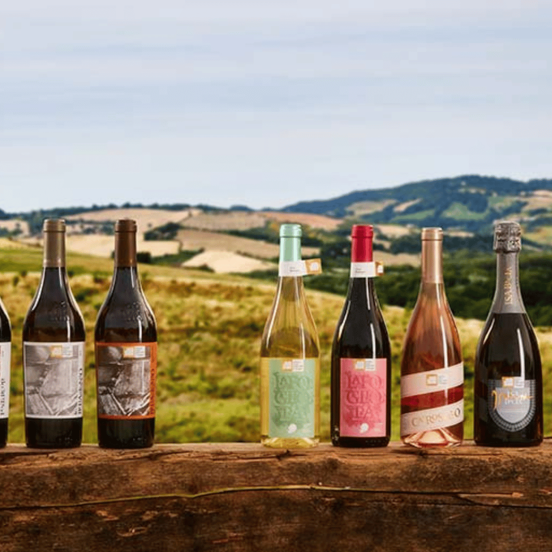 Boutique Winery Visit & 5 Organic Wine Tastings near Urbino