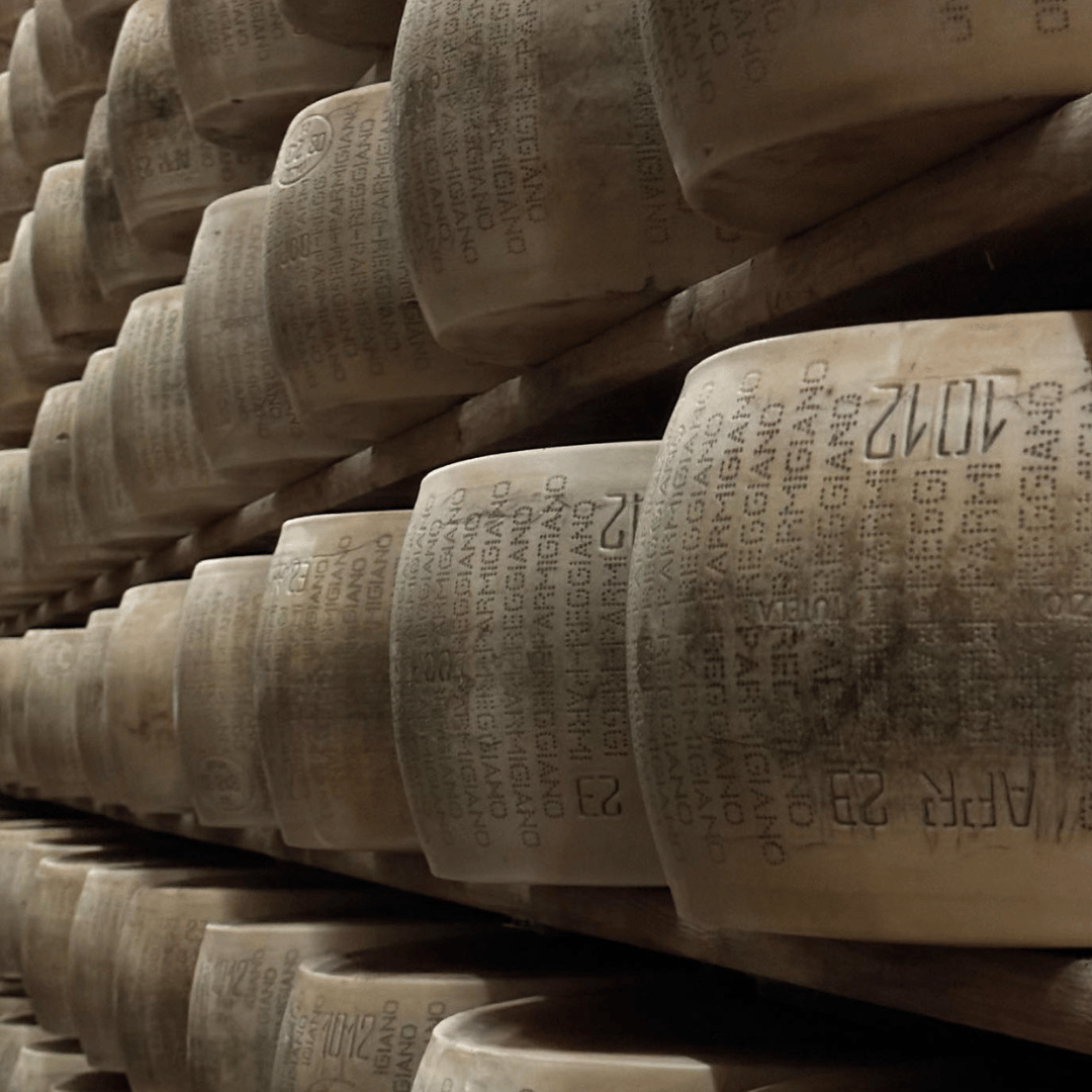 Parmesan Cheese Tour & Tasting near Modena