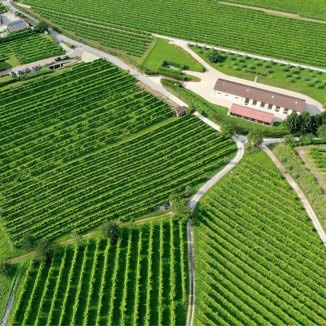Prosecco-Verkostung in einem Weingut auf dem Land
