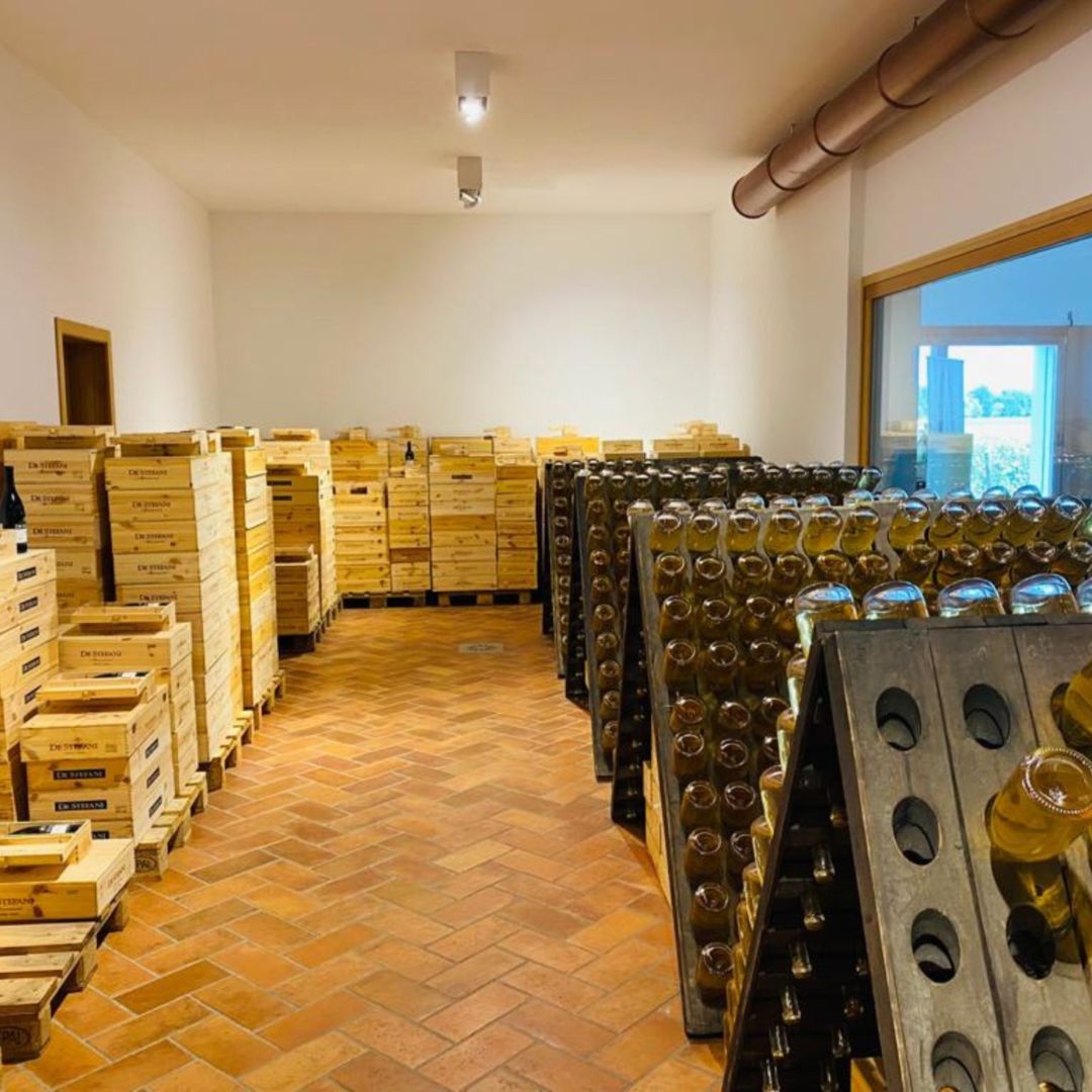 Degustazione di Prosecco in una cantina con abbinamento di cibo vicino a Venezia