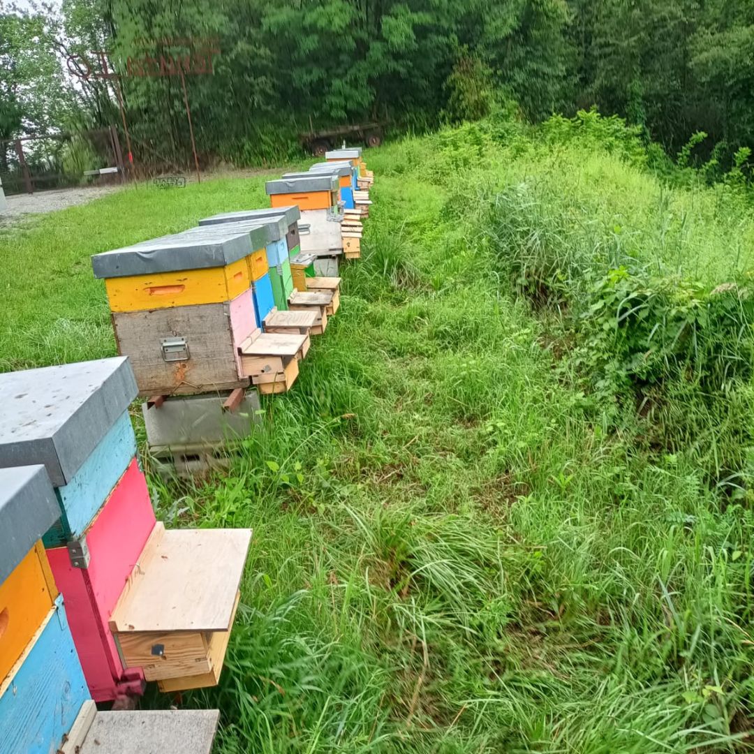 Honey and Mead Tasting Experience in Monferrato