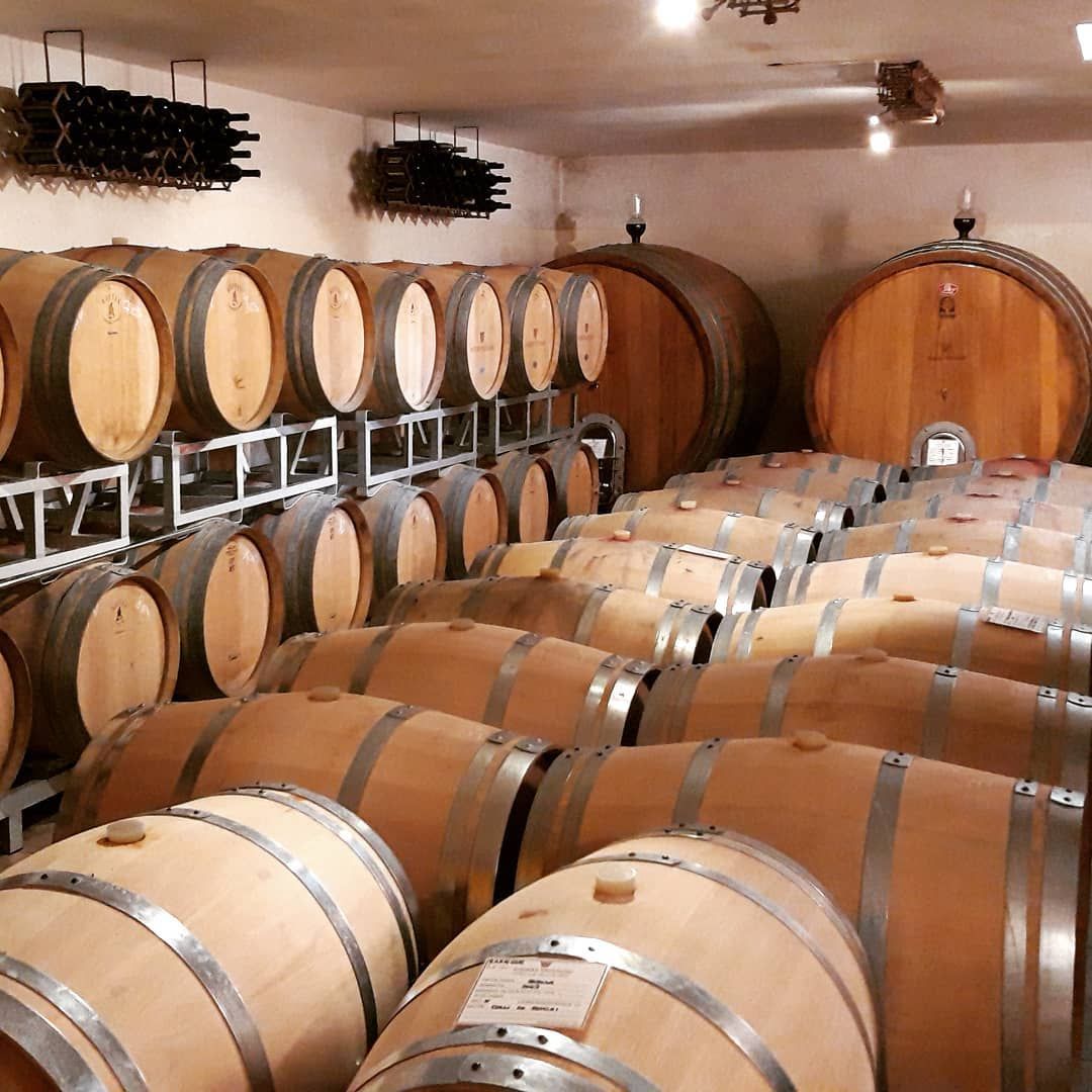 Tour in cantina con degustazione di vino e cibo nei pressi di Riccione e Rimini
