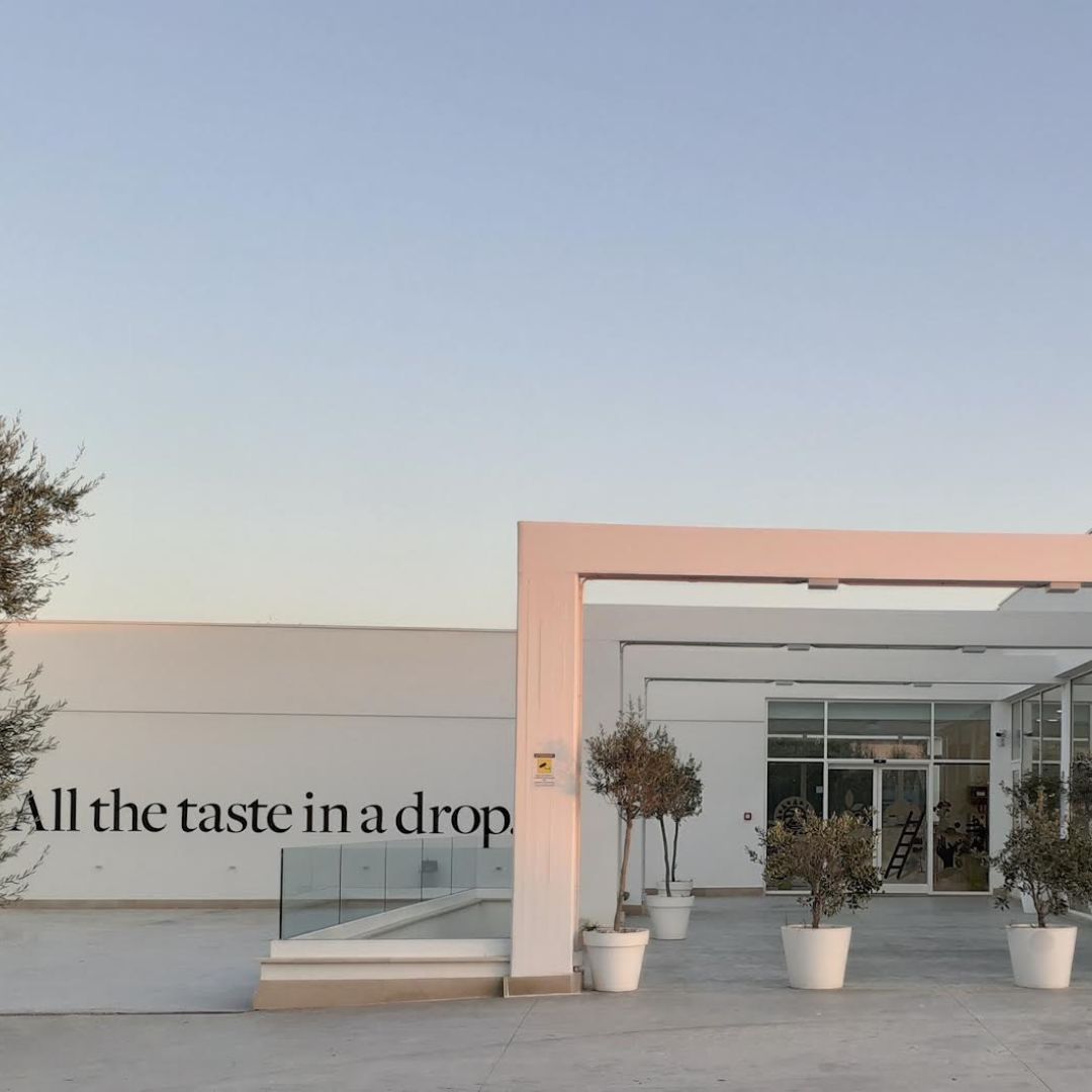 Olive Oil Mill Tour with Tasting near Bari
