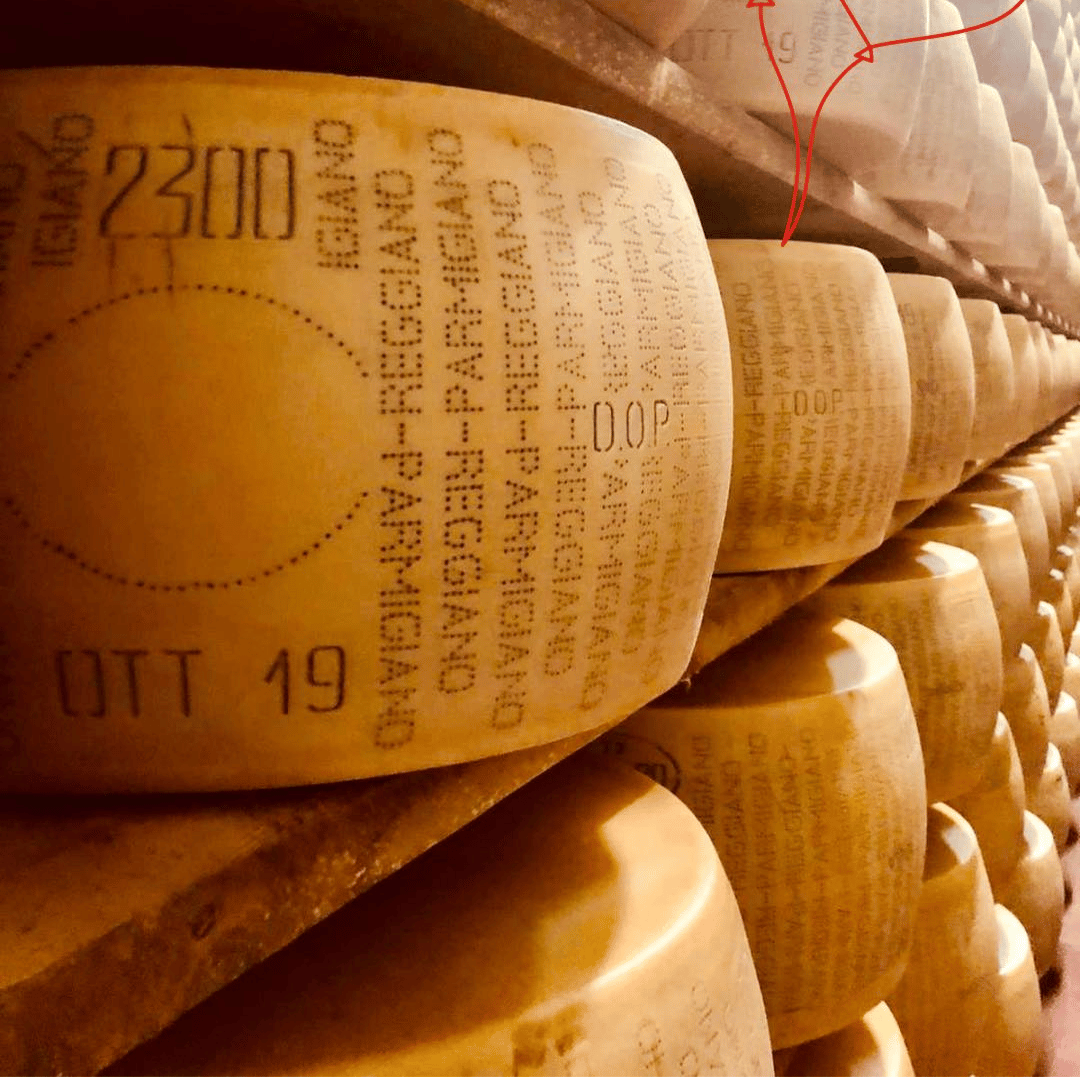 Parmesan Wheels near Parma: Tasting & Factory Tour