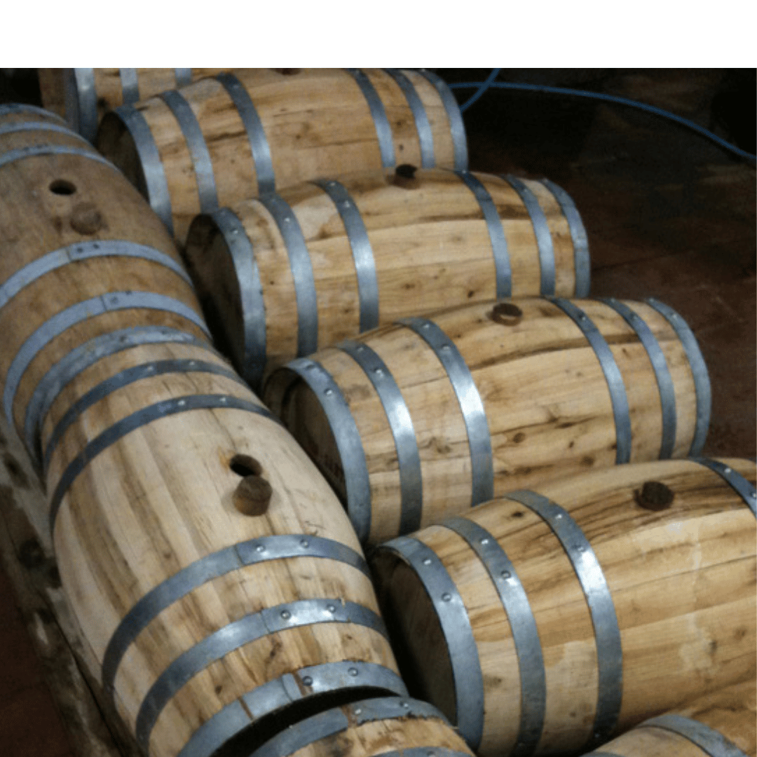 Visita a una Cantina Boutique e Degustazione di Vini vicino ad Arezzo