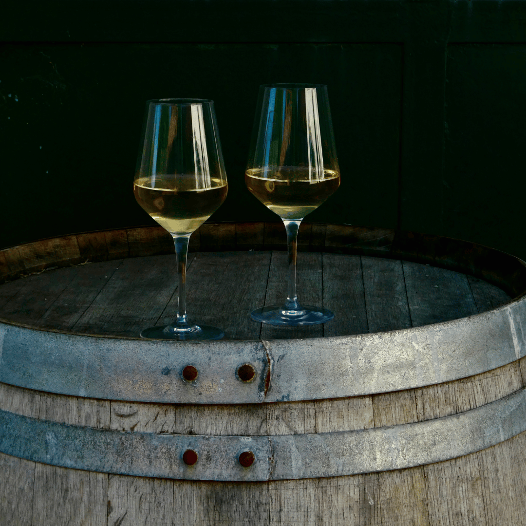Bologna: tour della cantina boutique con degustazione di vini e piatto gastronomico