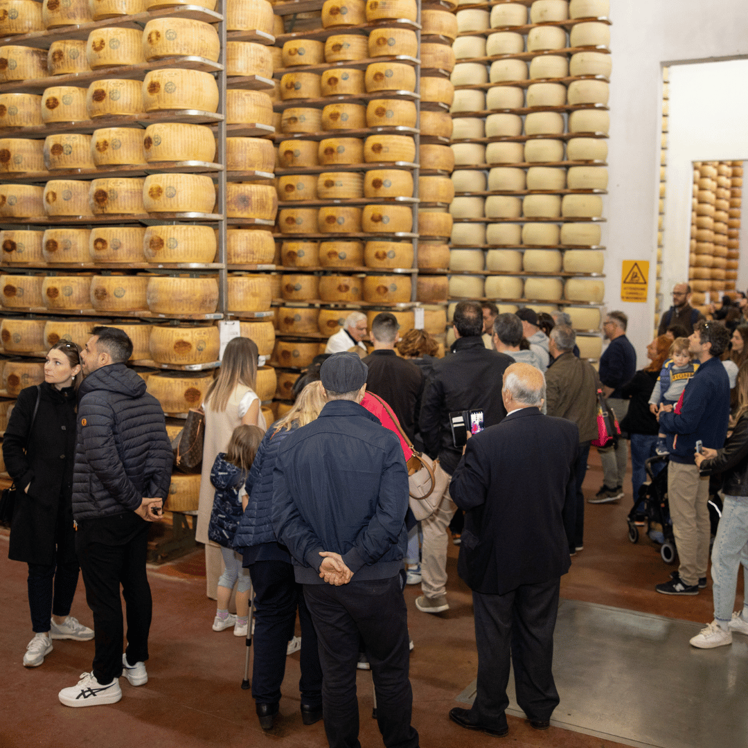 Fabbrica di Parmigiano Reggiano vicino a Modena: Degustazione e Tour