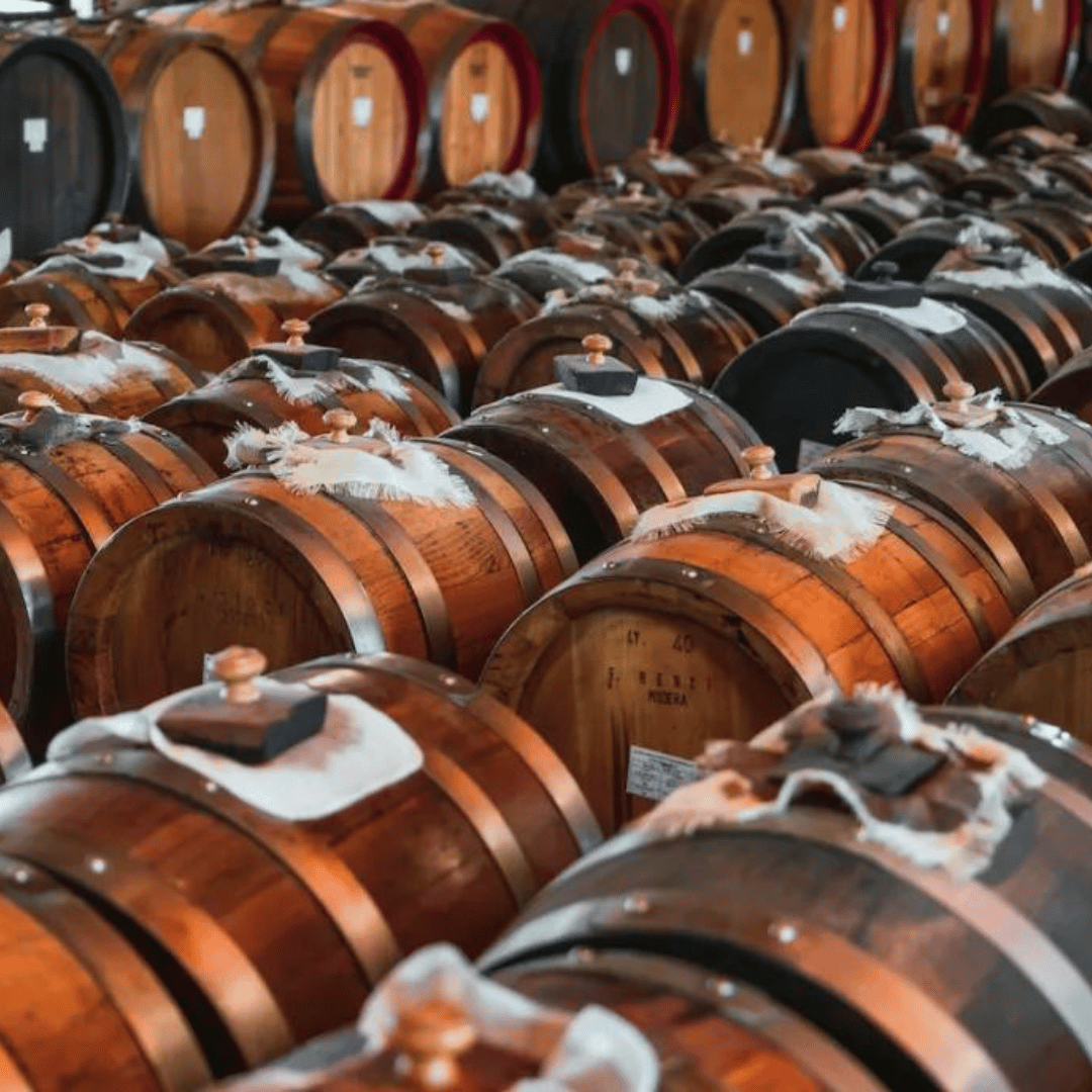 Balsamic Vinegar Tasting & Production Tour in Modena