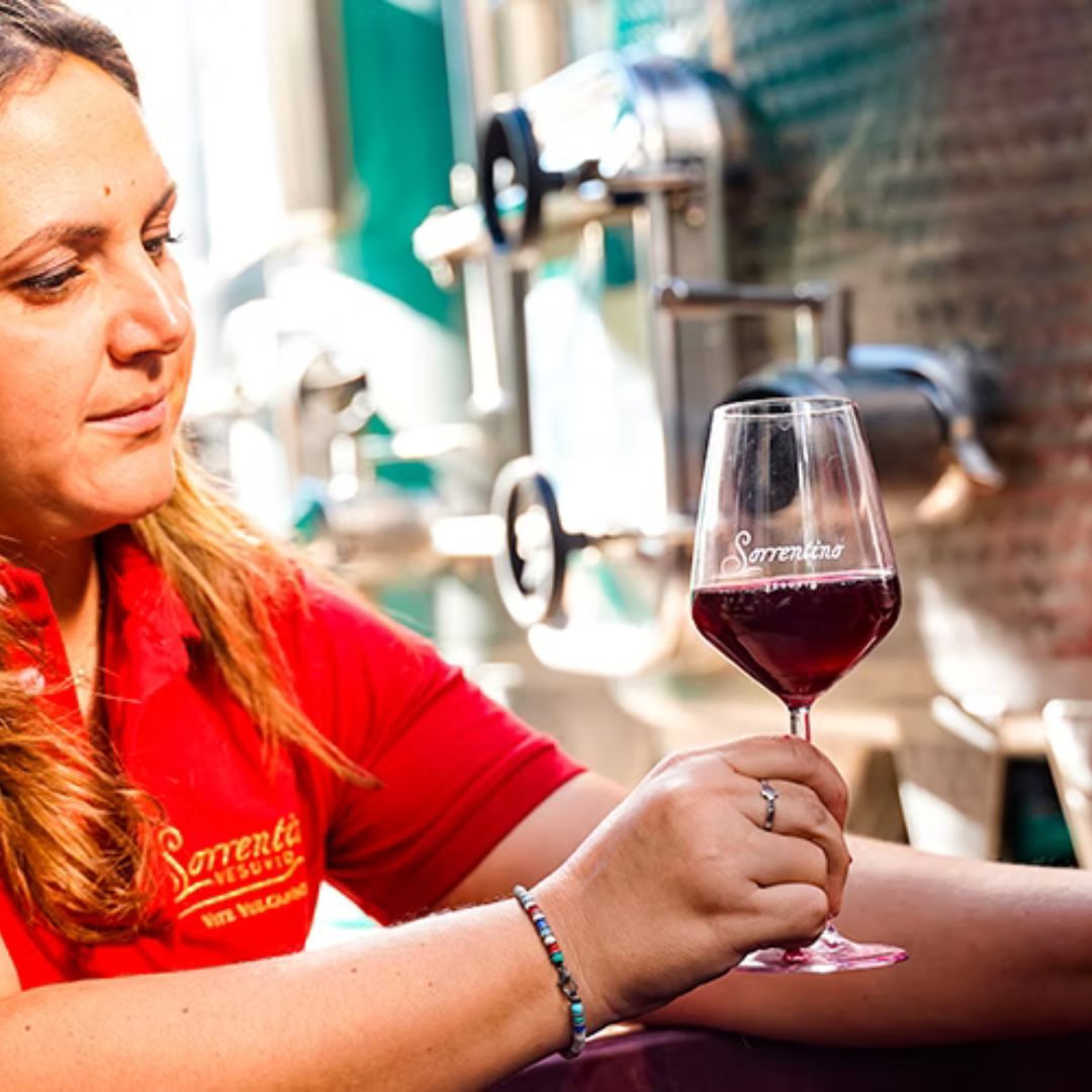 Winery Tour with Organic Wine Tasting & Lunch near Pompeii