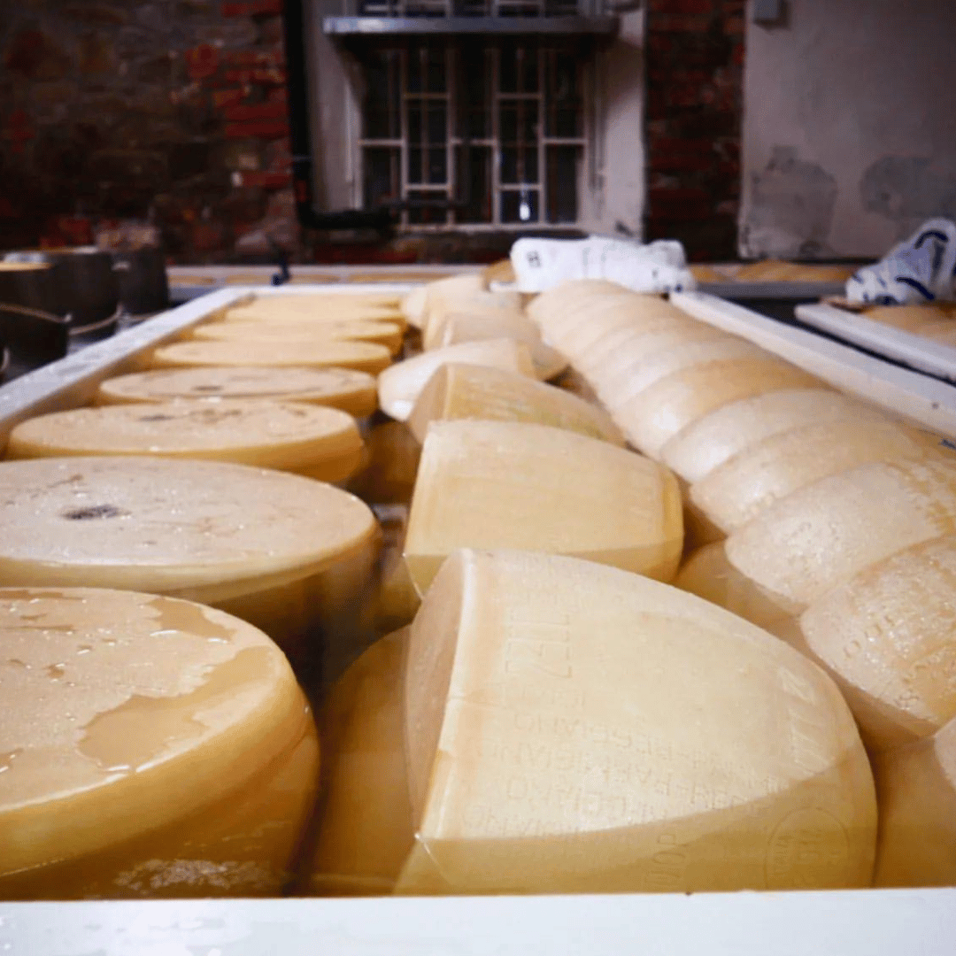 Parmesan Wheels near Parma: Tasting & Factory Tour