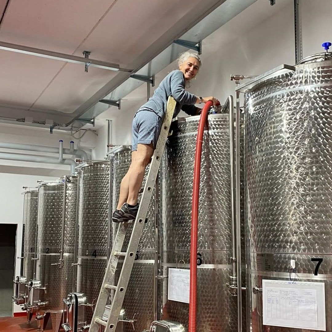 Organic Winery Visit with Wine & Food Tasting near Bologna