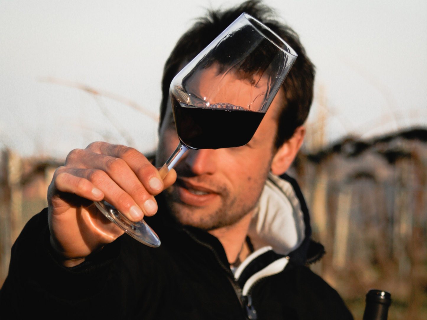 Organic Winery Visit & Wine Tasting with Food in Pavia